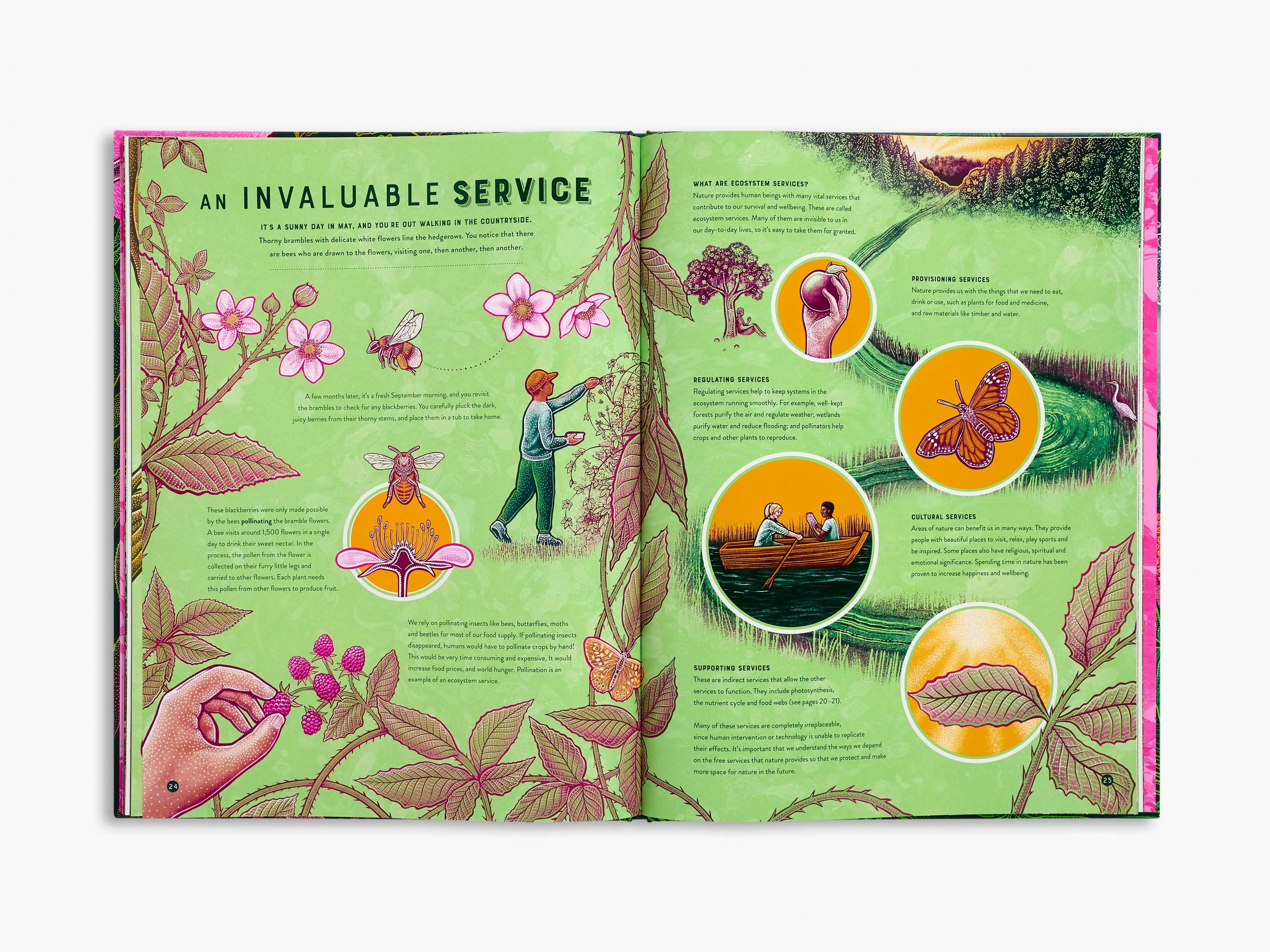 Life (Wild Wonders)