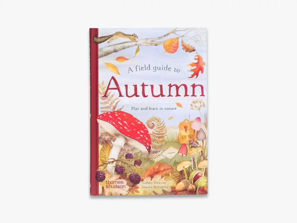 A Field Guide to Autumn