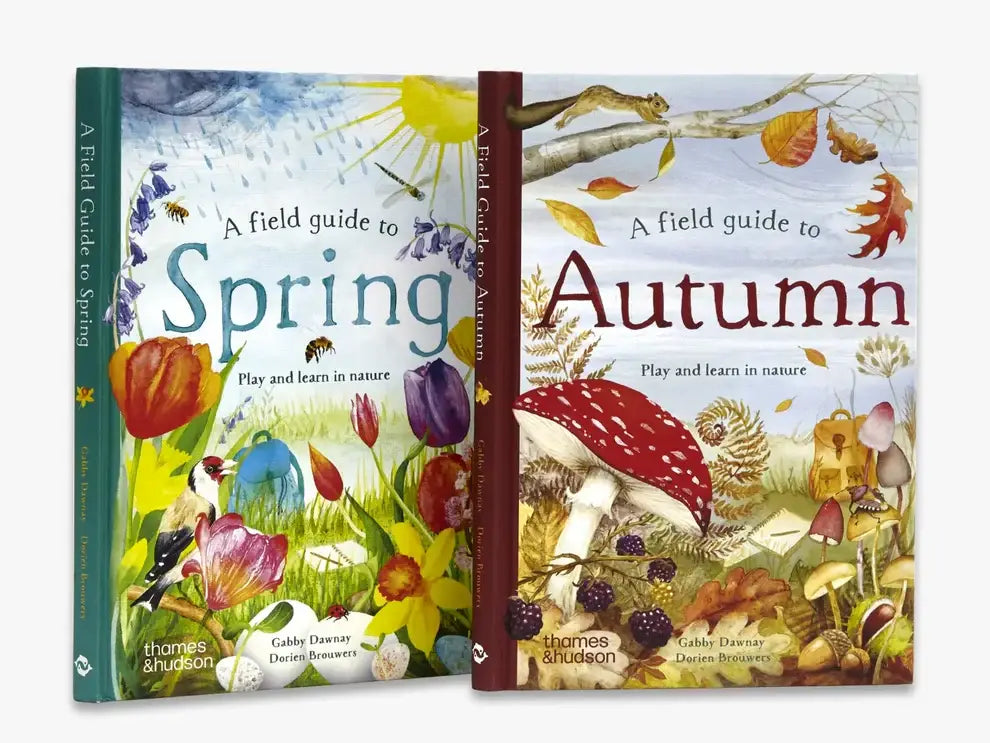 A Field Guide to Autumn
