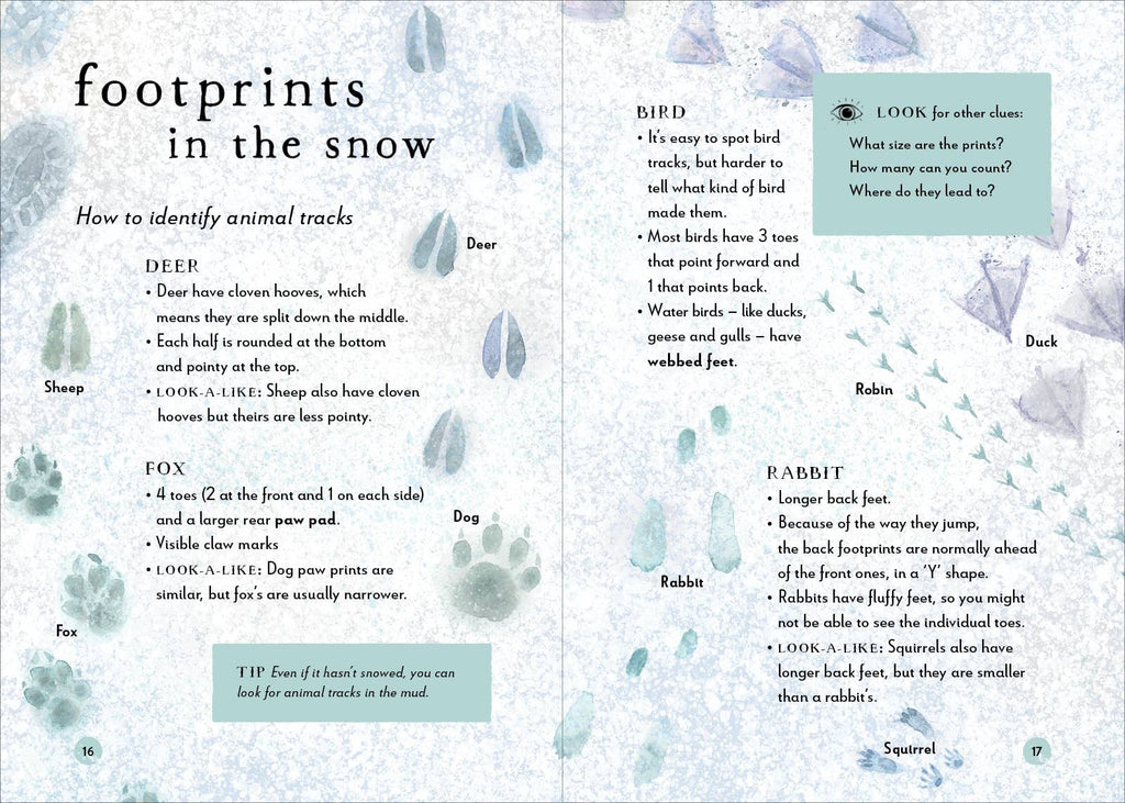 A Field Guide To Winter