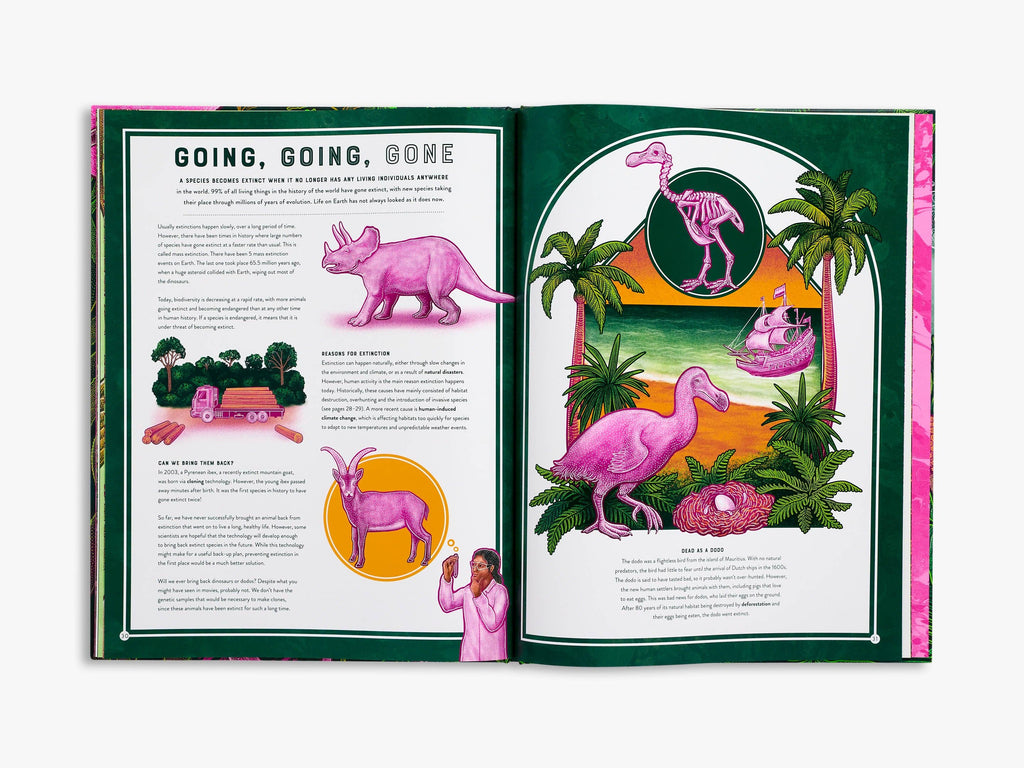 Life (Wild Wonders)
