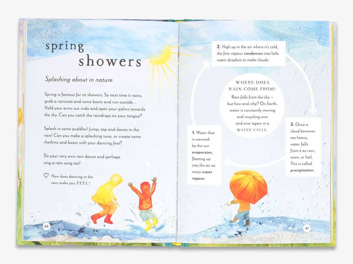 A Field Guide to Spring  (Field Guide series)