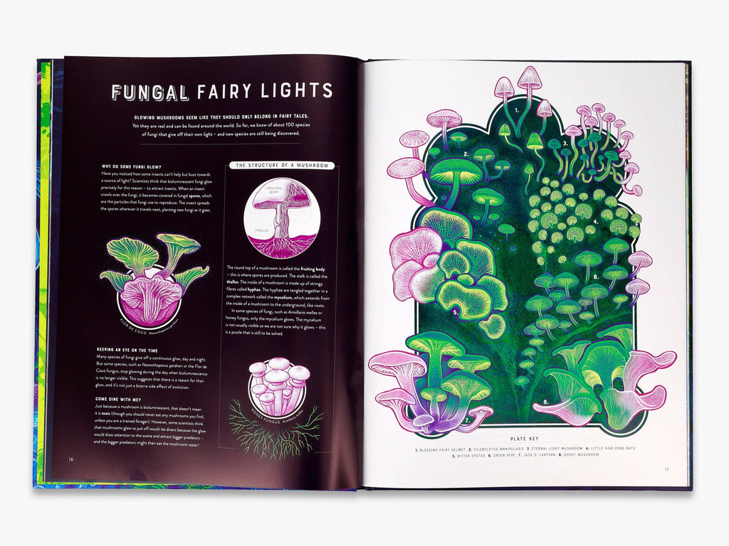 Glow (Wild Wonders)