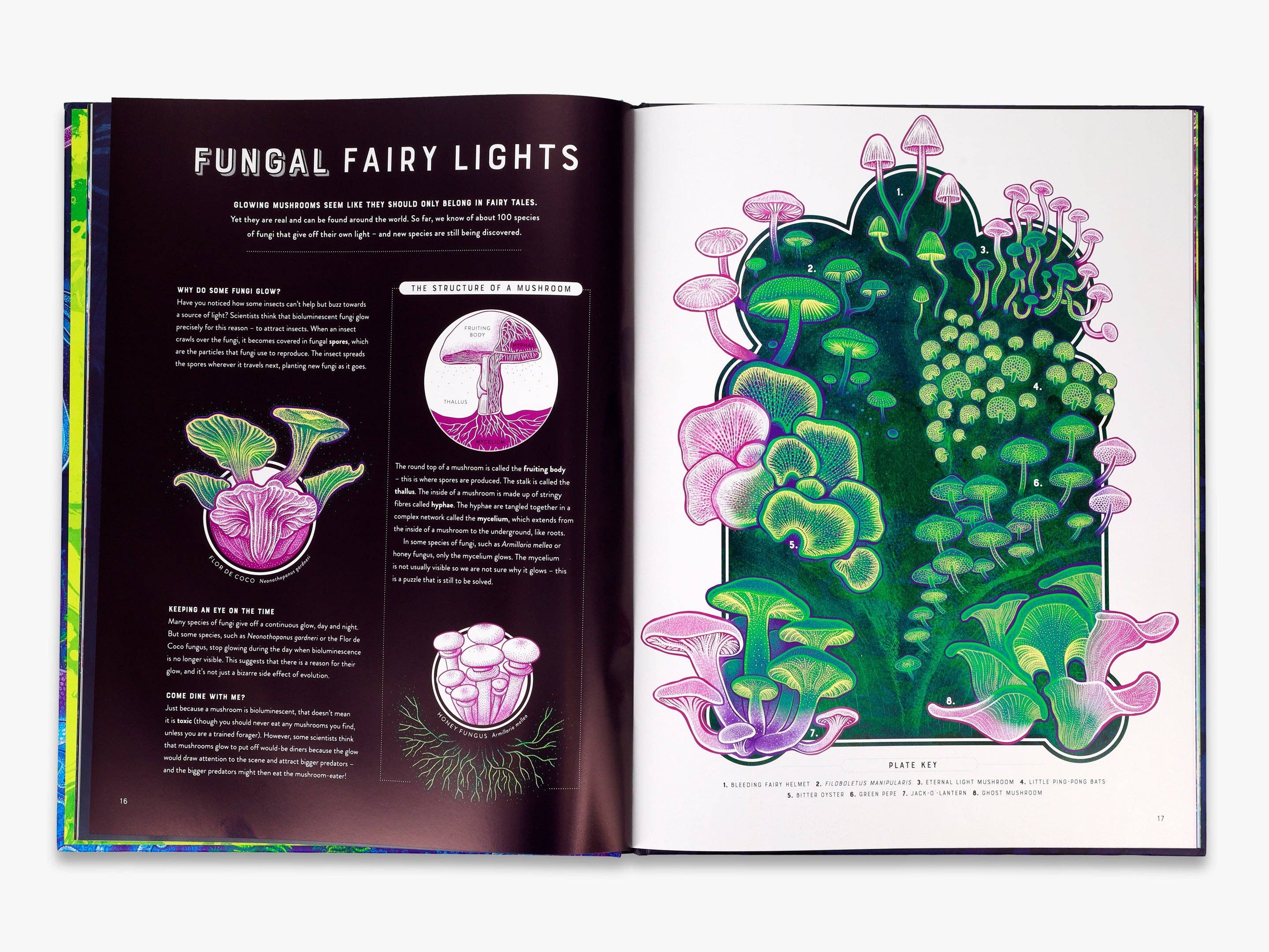 Glow (Wild Wonders)