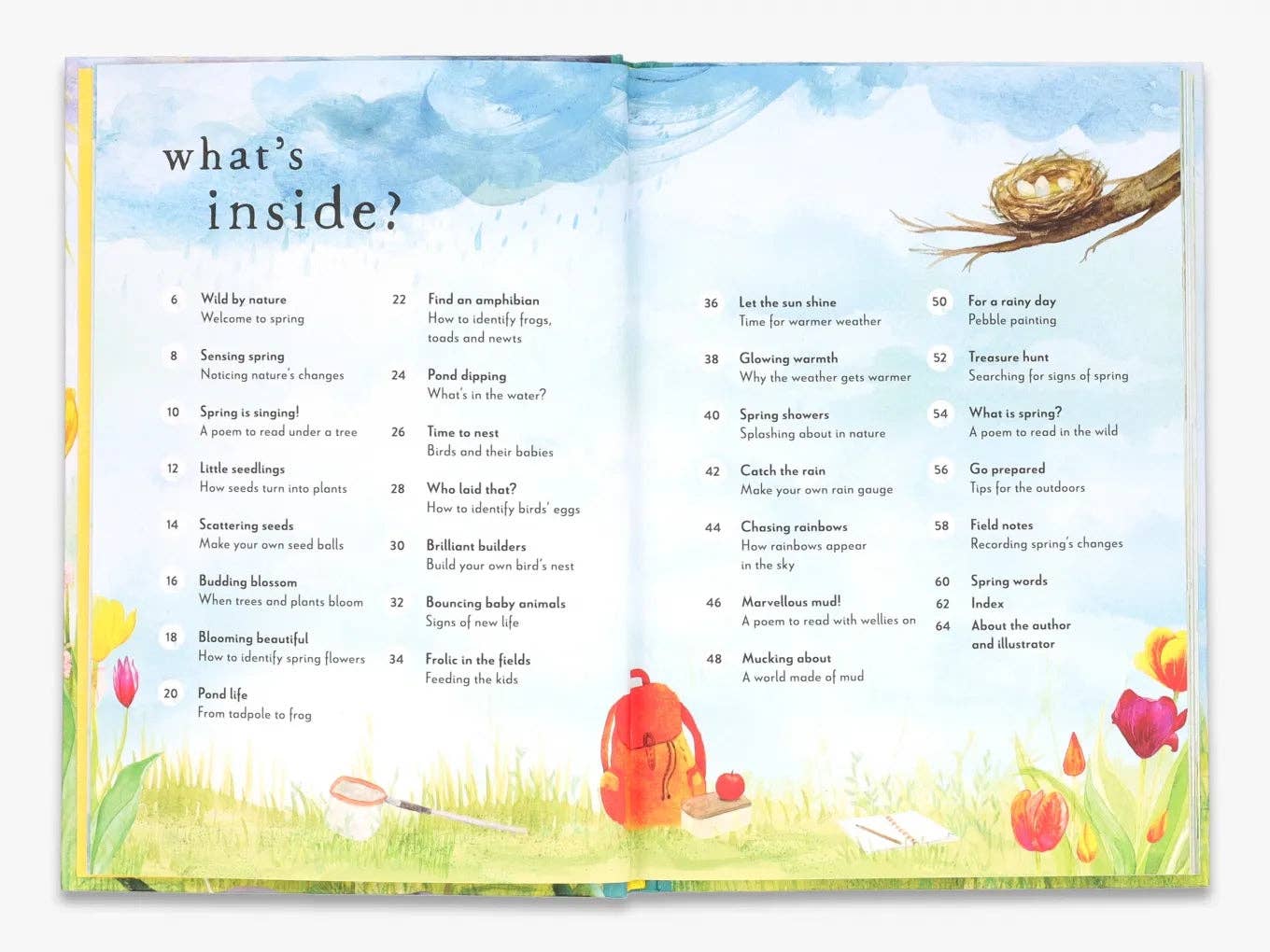 A Field Guide to Spring  (Field Guide series)