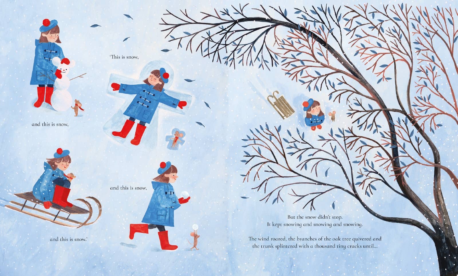 The House With The Little Red Door