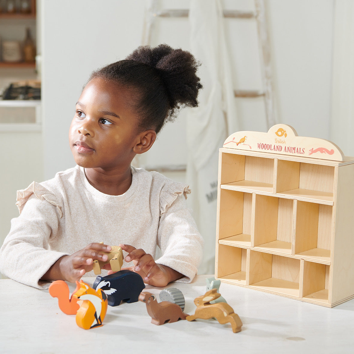 8 Woodland Animals Shelf Set