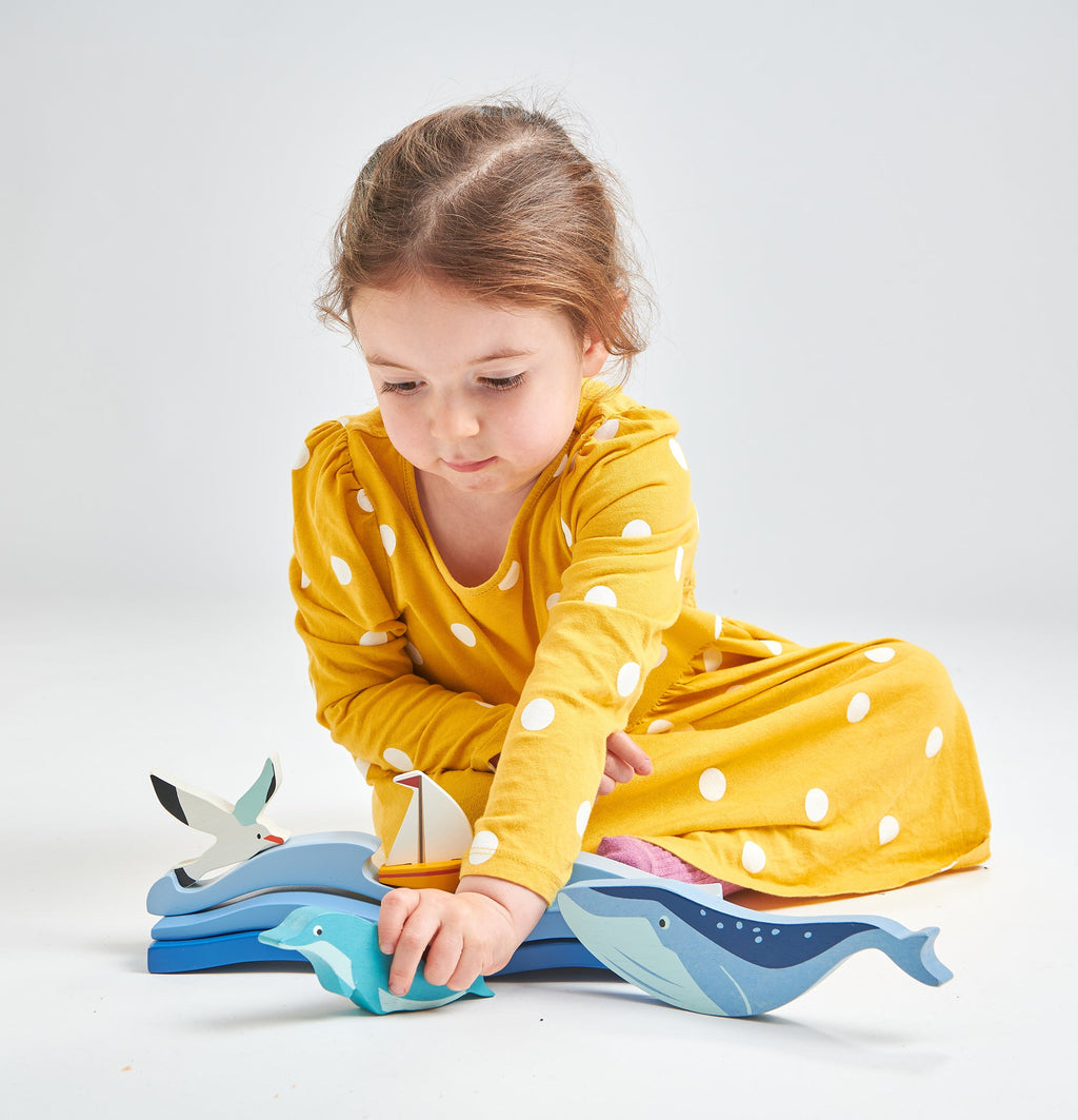 Coastal Animals - Seagull