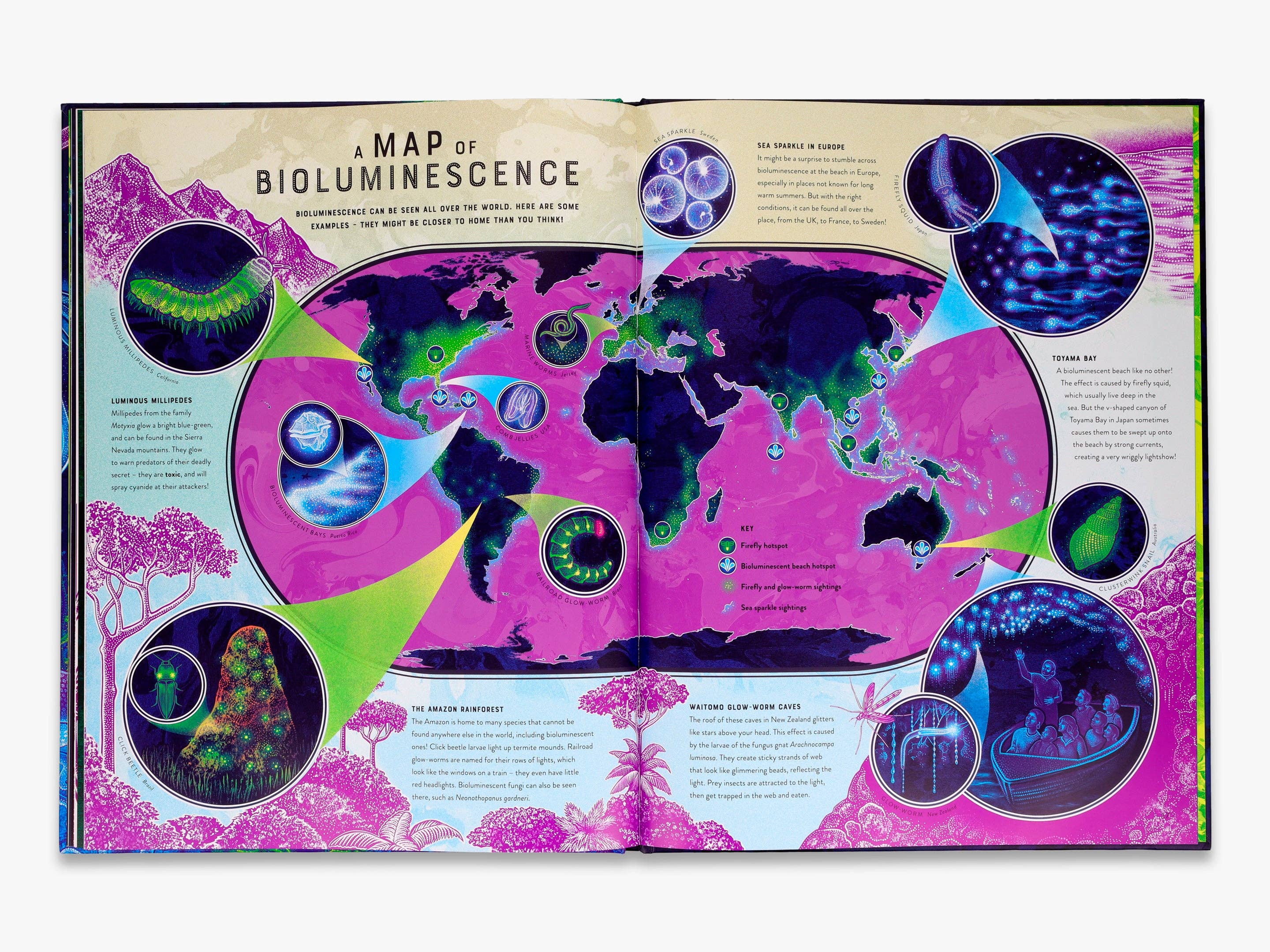 Glow (Wild Wonders)