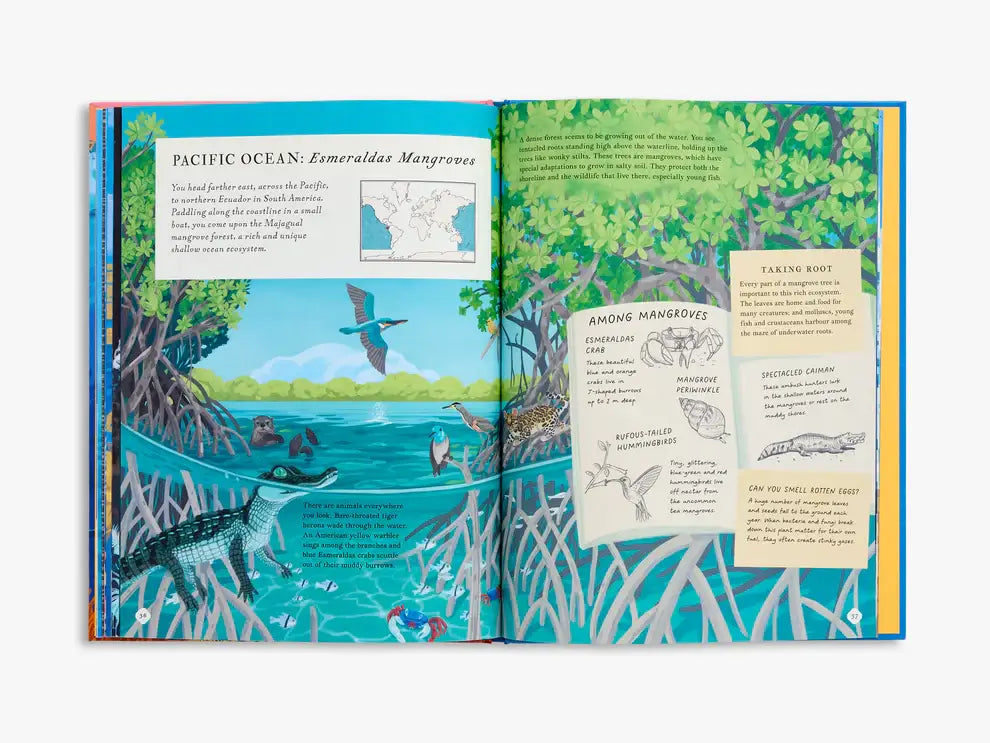 There's An Ocean In This Book