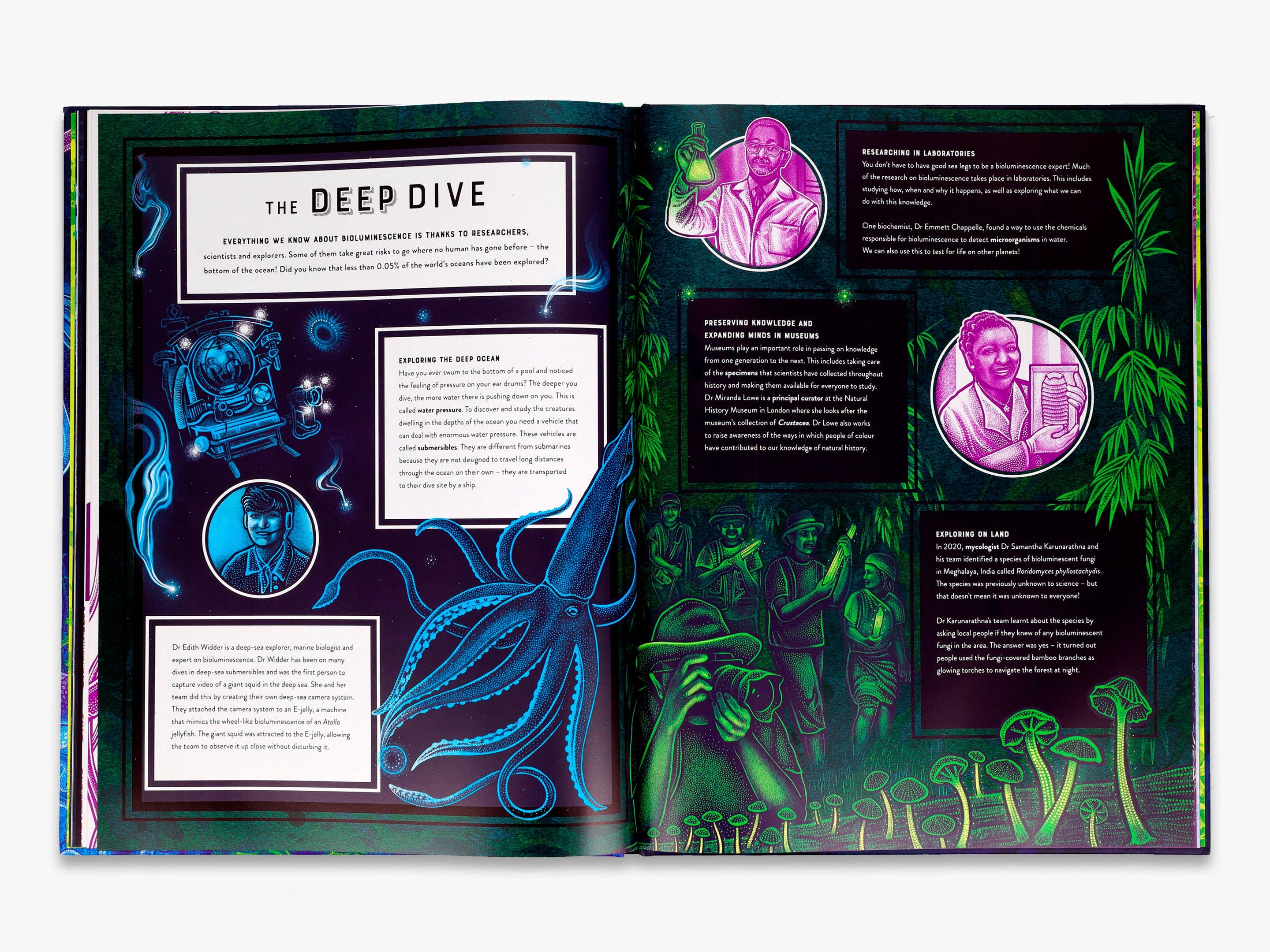 Glow (Wild Wonders)