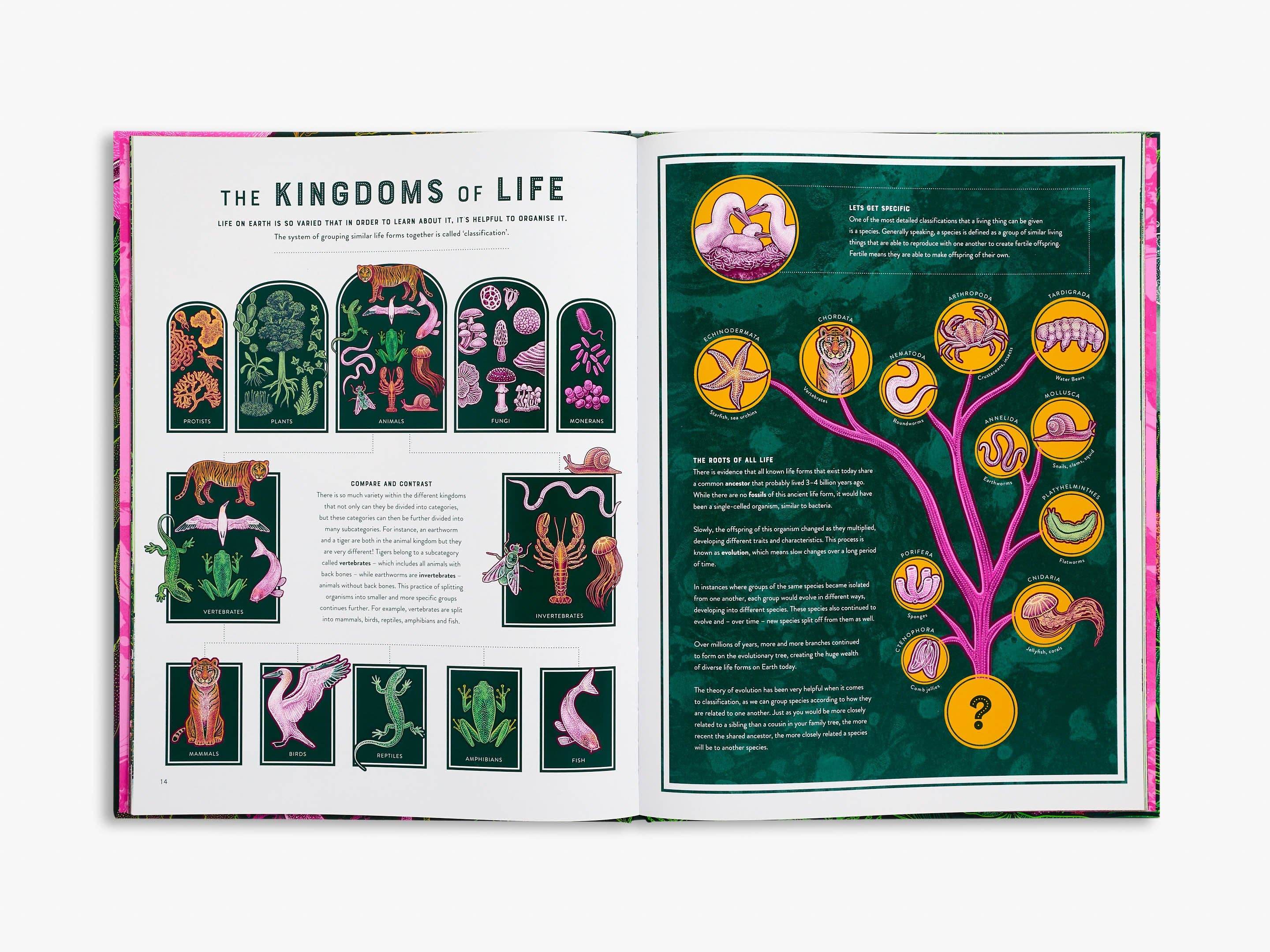 Life (Wild Wonders)