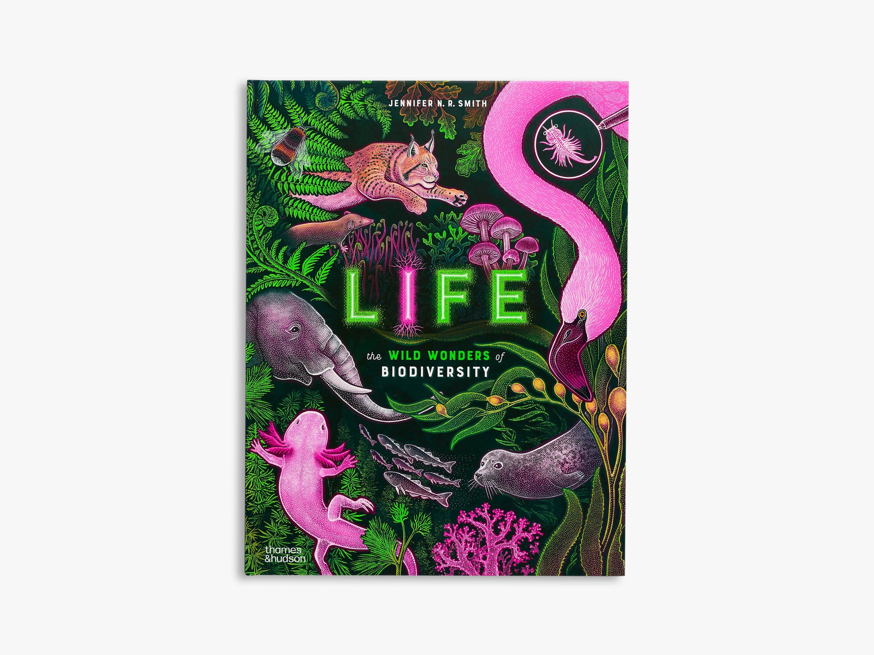 Life (Wild Wonders)