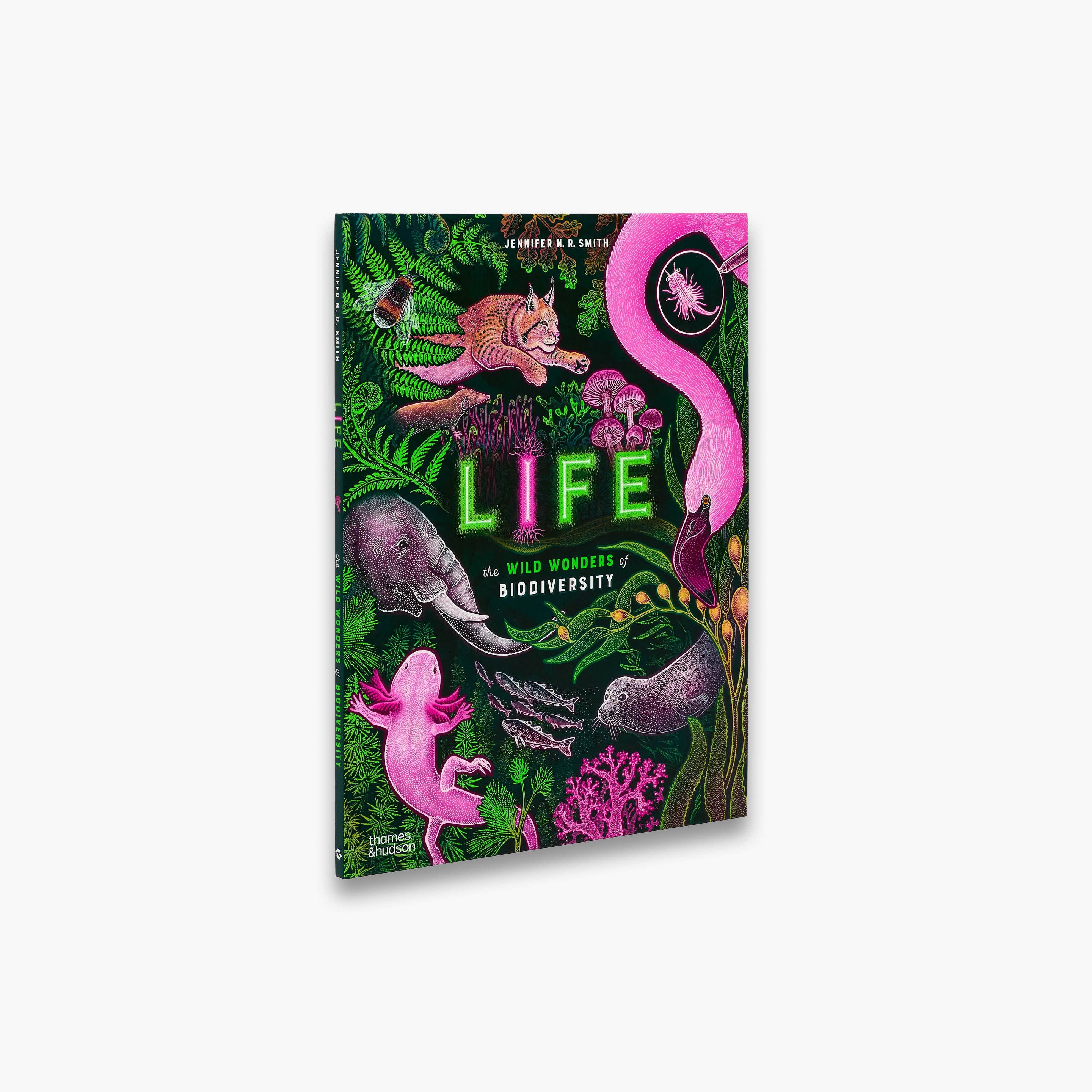 Life (Wild Wonders)