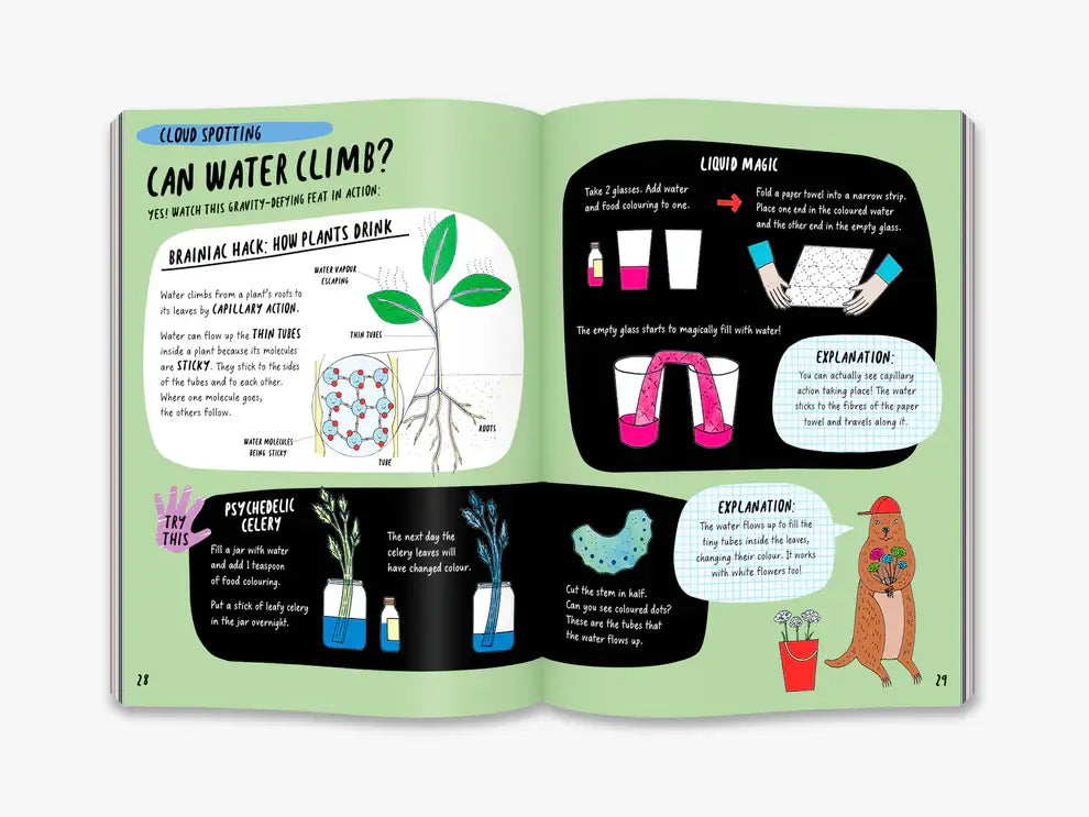 The Brainiac’s Book of the Climate and Weather