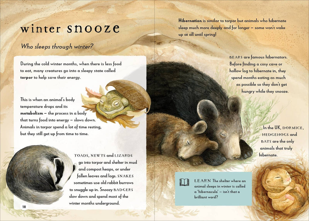 A Field Guide To Winter